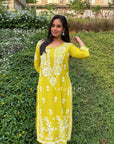 AstarQala - Hira Modal Long Straight Chikankari Kurta & Kurta Set For Women - Lime - 362_3e80640e-16c8-4528-856e-0d421ffdfcaf