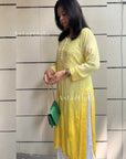 AstarQala - Banu Rayon Straight Chikankari Kurti - - 399_7f2fdadd-662b-4a4f-a230-af62685be34c