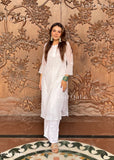 Viza Georgette Straight Chikankari Kurta For Women