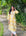 AstarQala - Farheen Mulmul Floral Printed Chikankari Kurti For Women's - Yellow - 251_64dd3d4d-60a7-474b-8bf2-109e548dc2d0